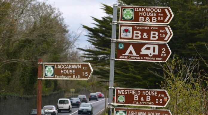 Domestic Tourism Operators Optimistic About 2025 Prospects, Fáilte Ireland Survey Shows