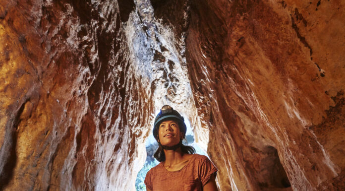 AAT Kings Offering Agents Double Rewards Throughout September on 2025 Tour Bookings