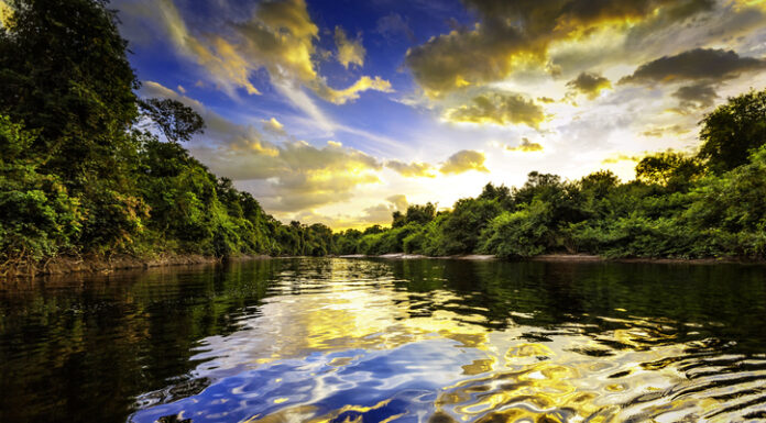 CroisiEurope to Enter South America with New-Build Eco-Friendly Luxury Ship for the Amazon