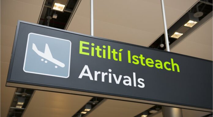 Inbound Visitor Numbers and Tourist Spend Both Down by Over 30% in February, CSO Figures Show