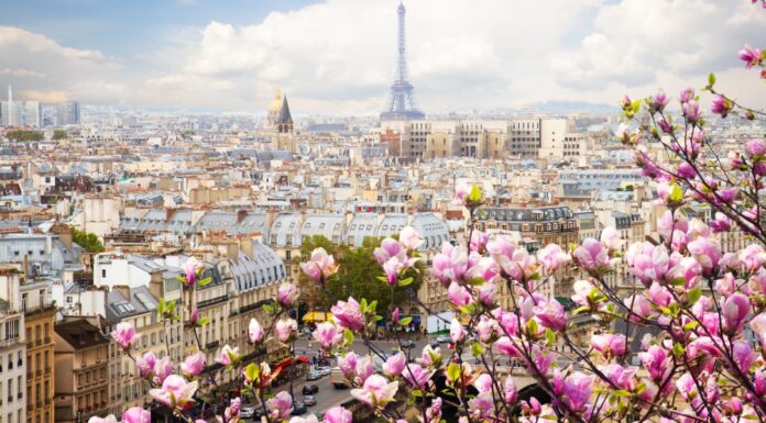 Supplier Spotlight: Cruising Elevated – Luxurious Adventures with Avalon Waterways