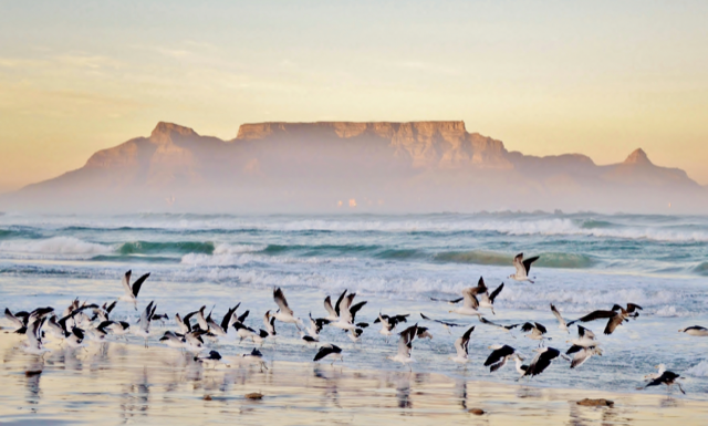 Swan Hellenic Unveils Africa Grand Voyages Details