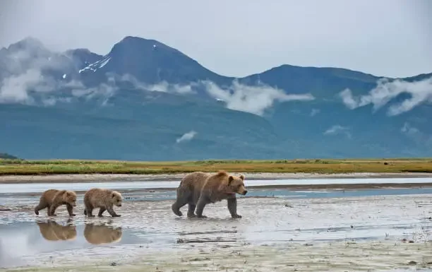 Azamara Cruises Unveils Summer 2026 On Land Alaska Cruisetour Packages