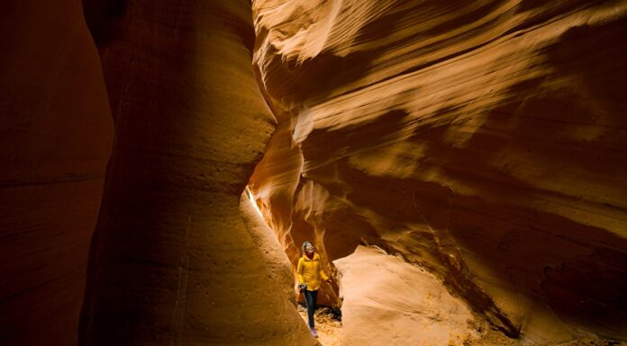 Explore More, Sell Better: Why the USA Discovery Program is a Must