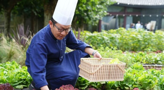 Banyan Group Details Climate Friendly Progress in 19th Annual Sustainability Report