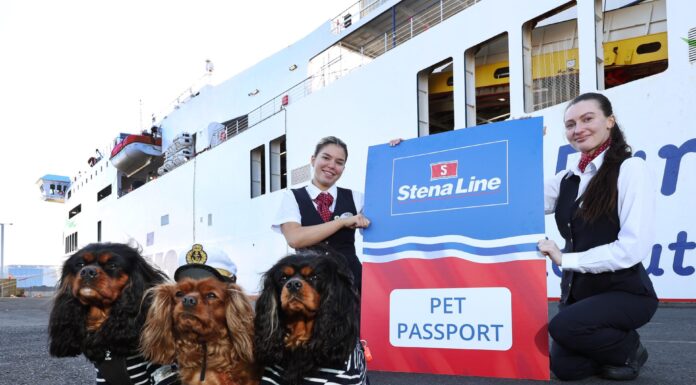 Stena Line Declares 2025 ‘The Year of Pet Travel’ as Popularity of Sailing with Pets Surges