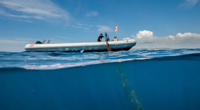 TUI Care Foundation Partners with Sicily Environment Fund to Protect Mediterranean Biodiversity