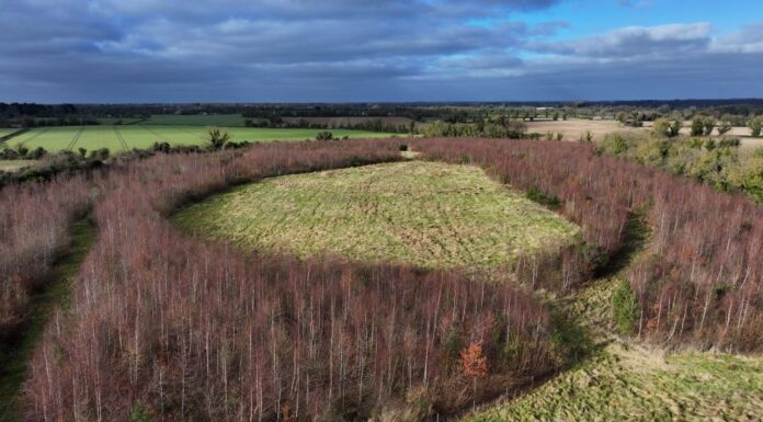 National Biodiversity Week: daa Gifts Compensatory 8-Hectare Wildlife Habitat in Co Dublin