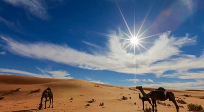 Saudi Arabia Unveils Ambitious 50 Year Tourism Roadmap: ‘TOURISE’