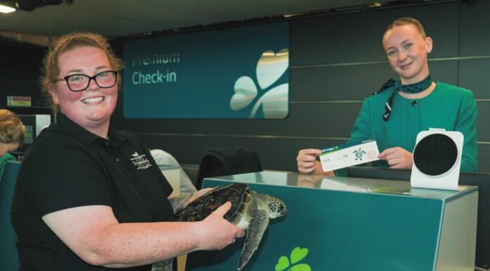 From the Wild Atlantic to Gran Canaria: Aer Lingus Helps Sea Turtle Find Her Way Home