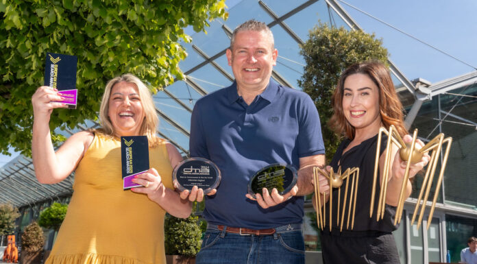 Irish Digital Marketing Agency Vroom Digital Wins Big at European Search Awards
