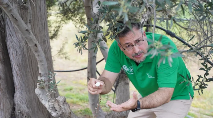 TUI Care Foundation Launches ‘TUI Field to Fork’ Programmes in Cyprus and Portugal