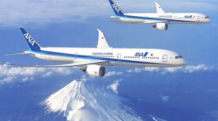ANA Group to Subsume AirJapan & Move to Dual Brand Strategy