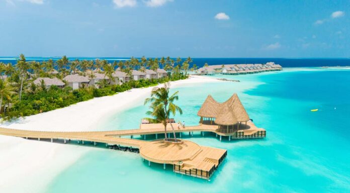 TSN Maldives Competition: 6 of the 10 Finalists Now Revealed!