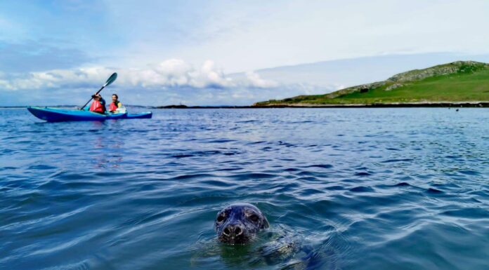 Tourism Ireland Unveils New Global Marketing Campaign: ‘Ireland Unrushed’