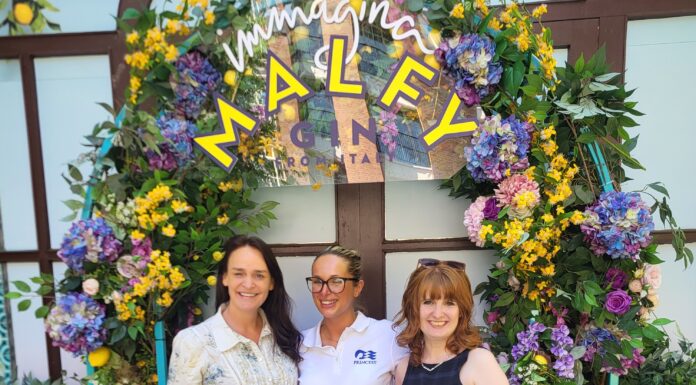 Princess Cruises Strengthens Irish Trade Ties on Dublin Visit