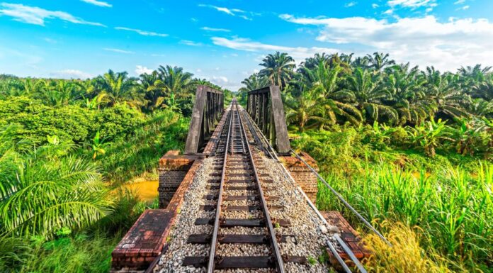 Intrepid Launches 6 New Rail Trips with an Exclusive Offer on Bookings