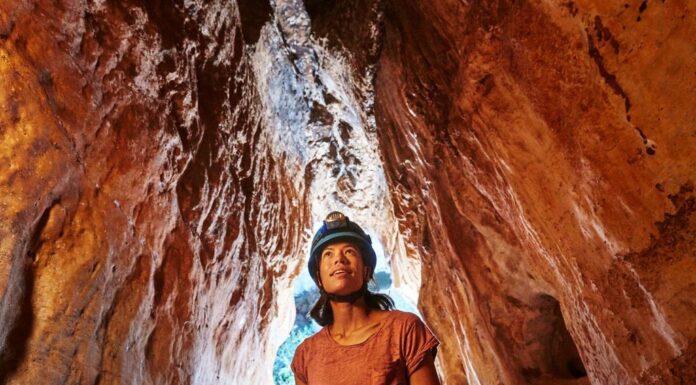 Australia & New Zealand Tour Operator AAT Kings Adds Small Group Tours Category for 2026/27 Season