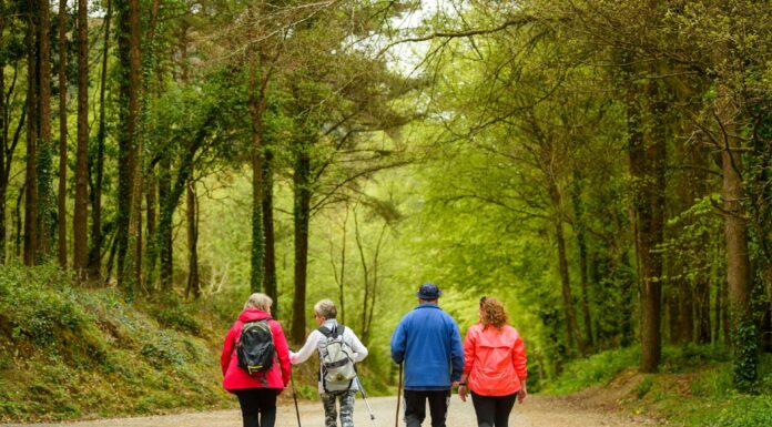 Ballyhoura Developments Gets Funding for Enhancement of Outdoor Recreation Projects