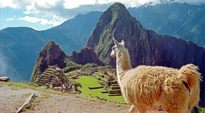 Peru Set for Record Tourism Growth This Year, According to WTTC