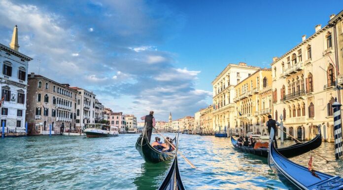 TTC Tour Brands Partners with TProfile to Enhance Agents’ Experience and Drive Touring Sector Growth