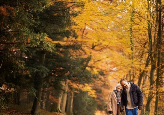 Princess Cruises Releases 2027 Canada & New England Itineraries for Sale