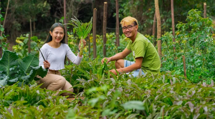 TUI Care Foundation Launches Support Service for Sustainable Tourism in Laos