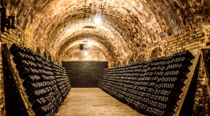 TUI Musement Launches First European Wine Tourism Index