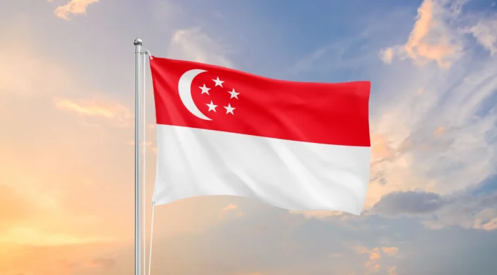 Singapore Establishes Government Agency to Procure SAF for Local Airport