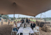 Malta FAM Trip: Inside the Charm of Ta’ Ċiċivetta Farm