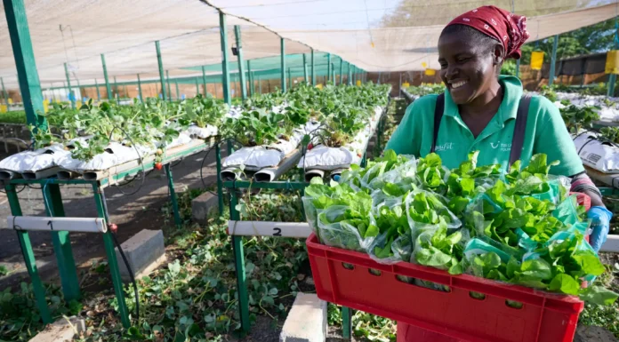 TUI Care Foundation Co-Launches ‘Food for Good’ Programme to Push Sustainable Food Systems in Tourism Destinations