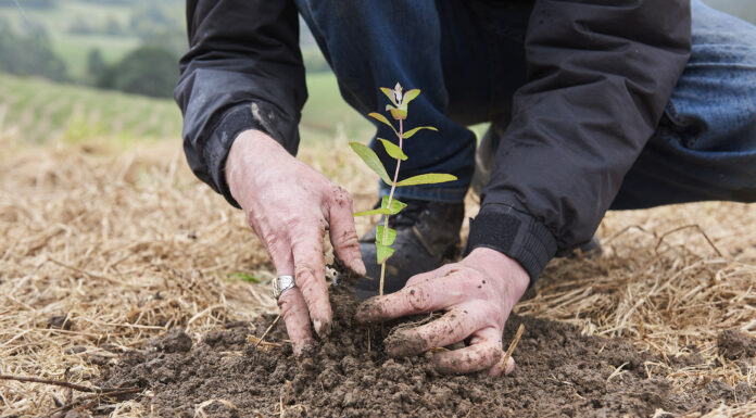 The Intrepid Foundation Awards Over £340,000 in Impact Grants to 16 NGO Partners