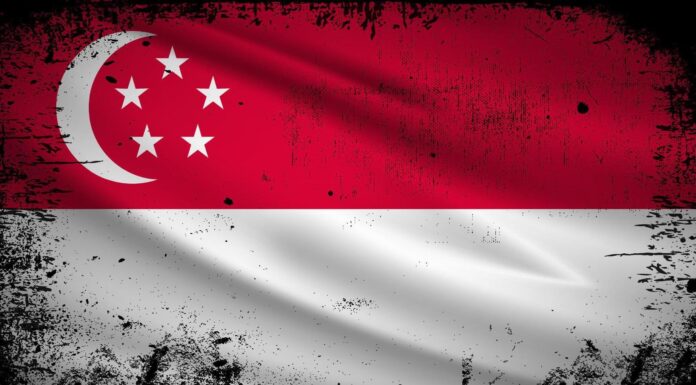 Singapore to Introduce Passenger Tax to Cover SAF Costs