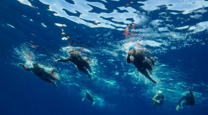 Spring Hotels Celebrates 2nd Annual ‘Blue Challenge’ Ocean Swimming Event in Tenerife
