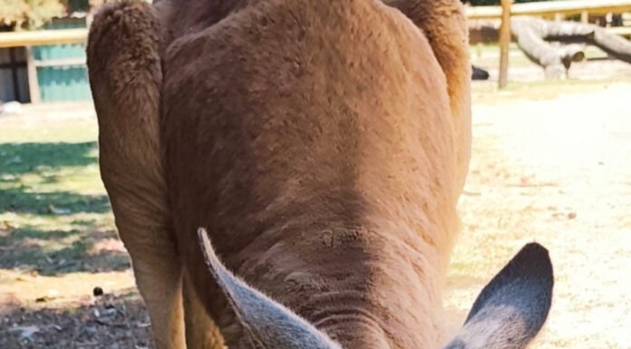 Travelmarvel Moments Final Winners Announced