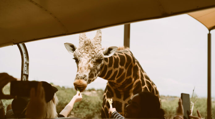 Tauck Opens New Brand ‘Roam by Tauck’ for Bookings