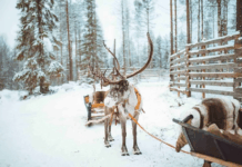 What to Wear and Pack for a 3-Night Family Adventure in Lapland