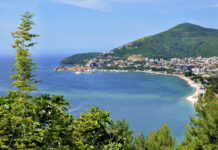 Click&Go Travel Sentiment Survey Reports 45% of respondents plan to Book their Holidays in January to March 2026