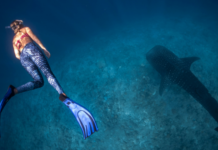 Swan Hellenic Launches Series of Dedicated Scuba Diving Experiences Across 4 Voyages