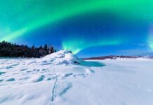 MSC Cruises Highlights Itineraries Ahead of Maiden Alaska Sailings