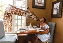 Restaurants Worth Clocking Up Air Miles For: My 2026 Gastronomic Bucket List