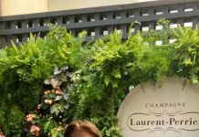 Yes Insurance Appoints Karen Maloney Head of Business Development for Irish Travel Trade