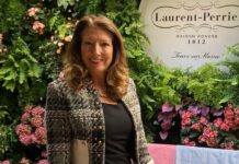 Yes Insurance Appoints Karen Maloney Head of Business Development for Irish Travel Trade