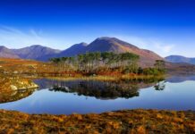 Tourism Ireland Visitor Research Finds Value for Money, Food, Scenery as Top Reasons to Visit