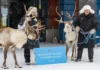 TUI Strengthens Commitment to Northern Finland/Lapland
