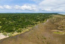 TUI Care Foundation launches new TUI Forest in Mozambique