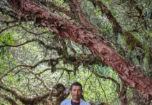 TUI Care Foundation Launches ‘TUI Forest Colombia’ 3-Year Reforestation Programme