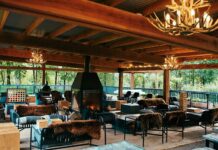 Forest Bathing, Crafted Cocktails, Hot Tubs: A Luxury Woodland Wellness Escape.