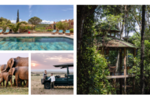 The Conscious Travel Foundation Welcomes New Members and Launches Strategic Partnership with Equator